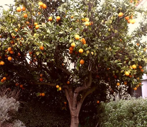 別荘 Casa Do Limoeiro 1 Valezim